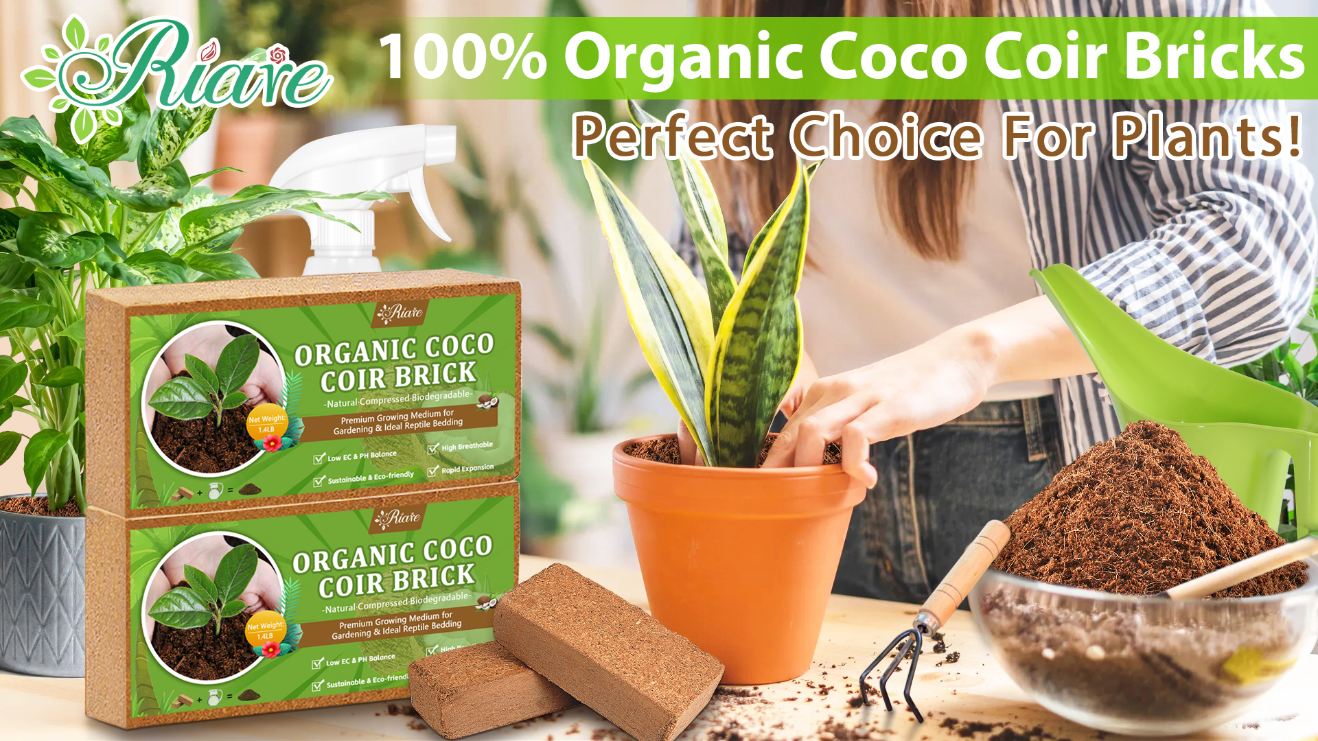 バッグ COCO COCO CAPITAN X CHARLES & KEITH Collection - CHARLES & KEITH US